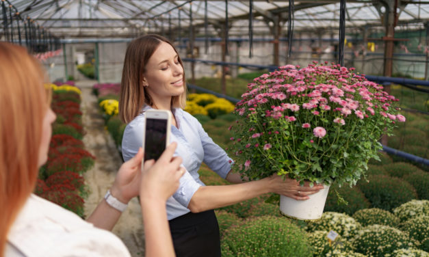 Comment booster votre entreprise sur Facebook et Instagram ?